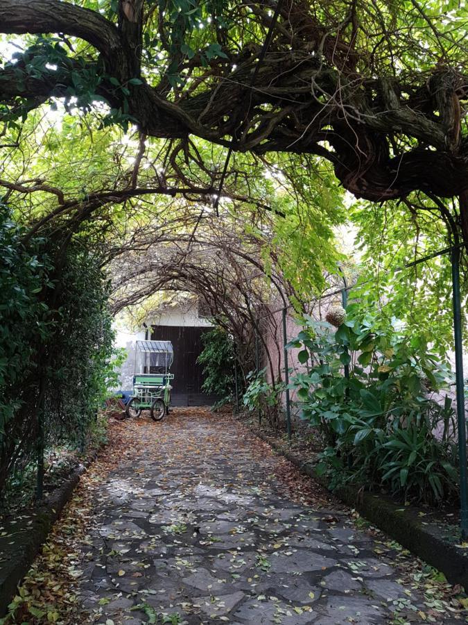- Ground Floor * Colico