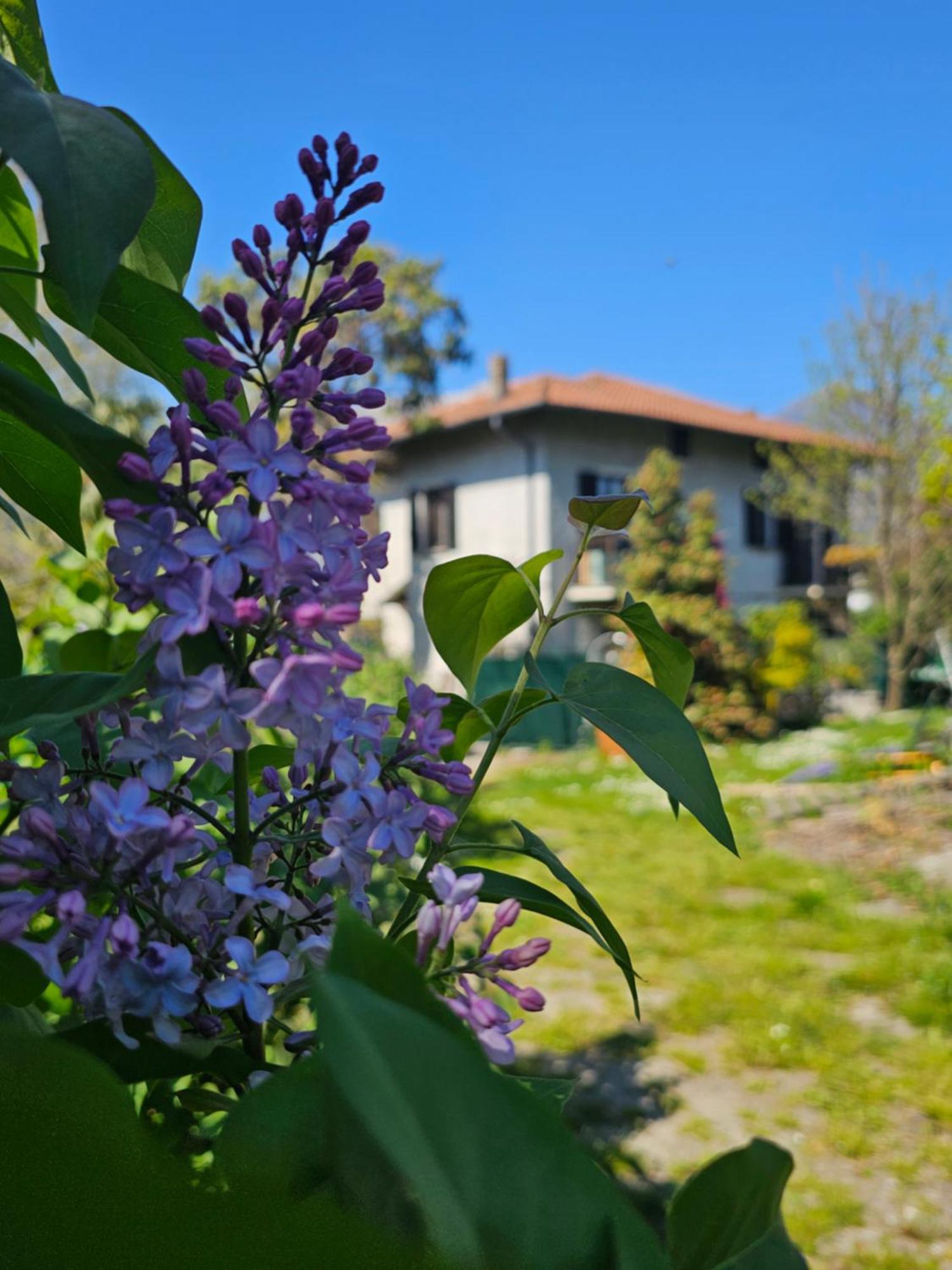 - Ground Floor Appartamento